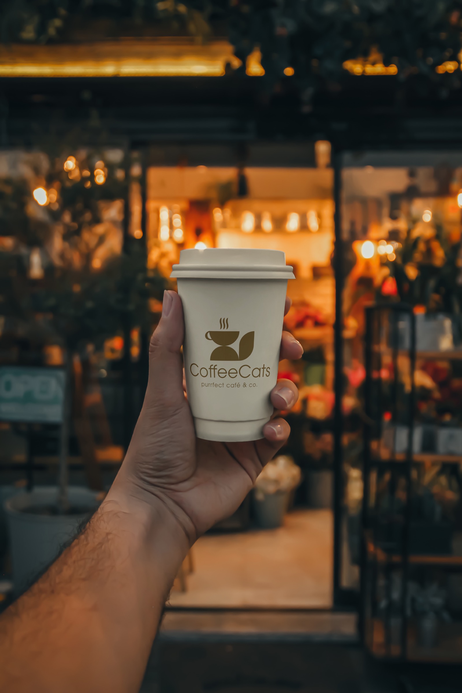 CoffeeCats — Eindruck