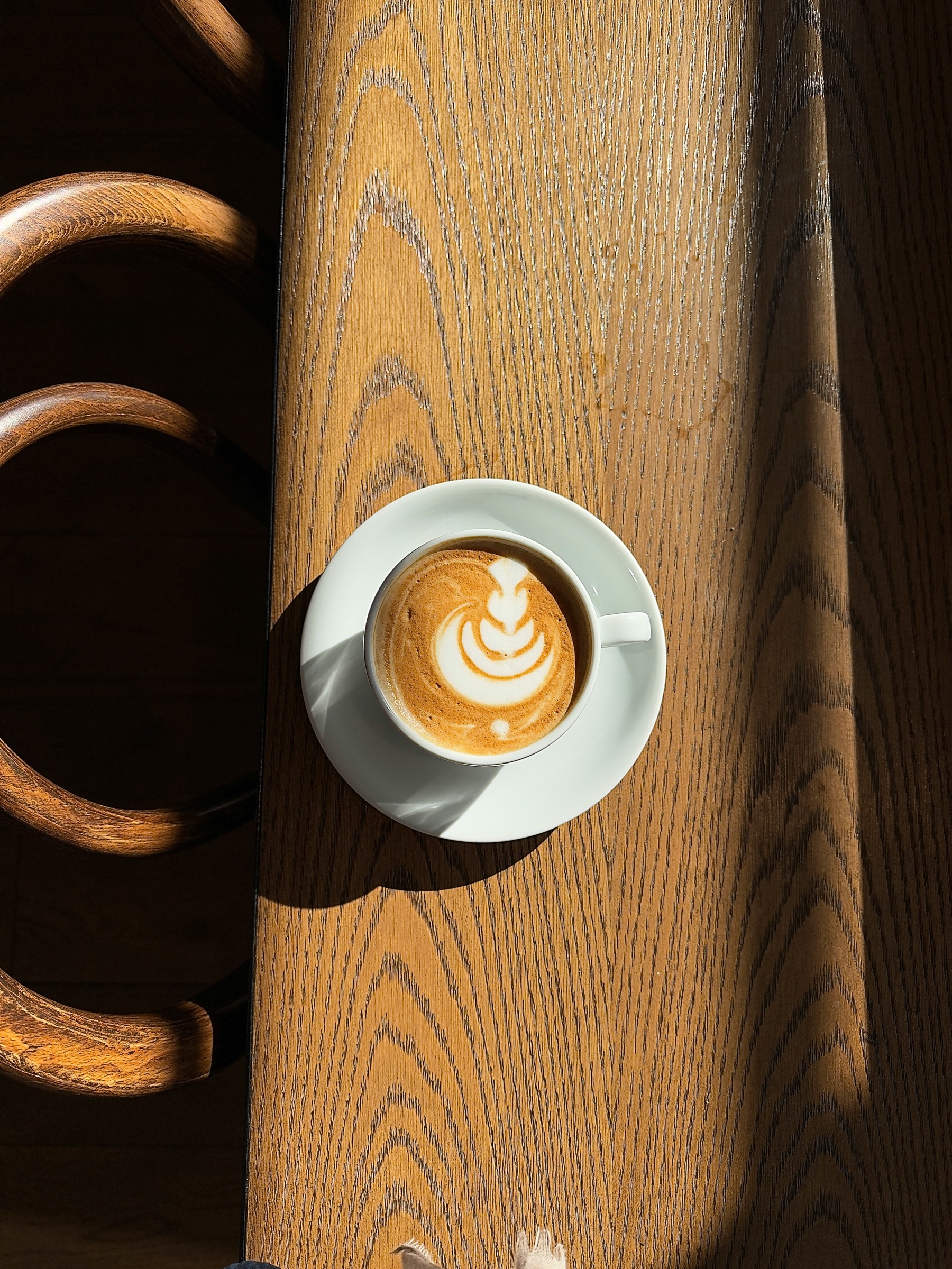 CoffeeCats — Eindruck